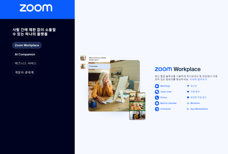 Zoom 스크린샷 2