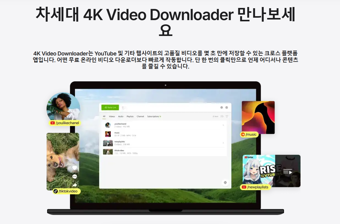 4K Video Downloader 메인화면2