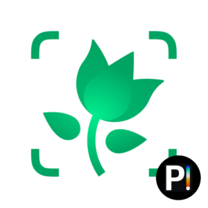 PictureThis_thumb