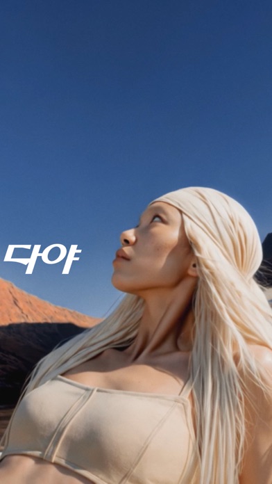헤이딜러 스크린샷 2