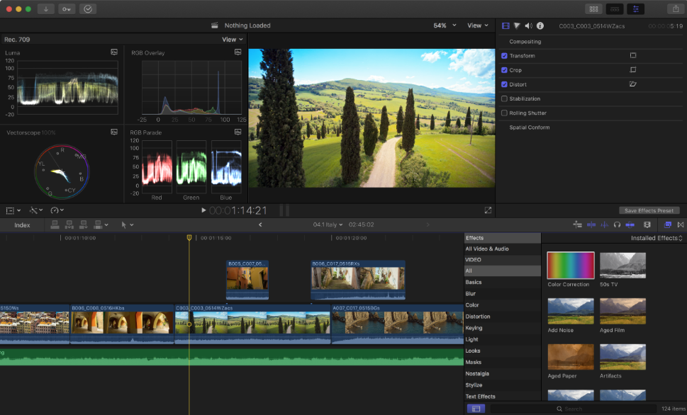 Final Cut Pro 스크린샷 2