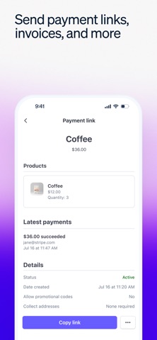 Stripe Dashboard 스크린샷 2