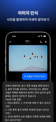 Dola: 스크린샷 5