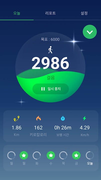 만보기 스크린샷 2