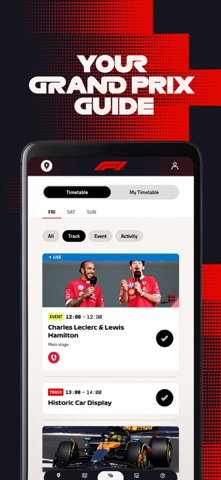 F1 스크린샷 3