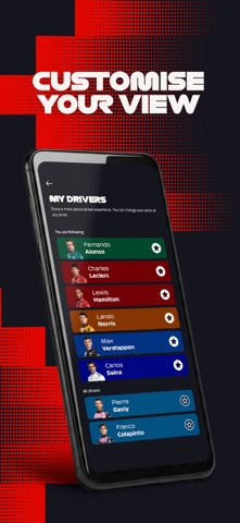 F1 스크린샷 4