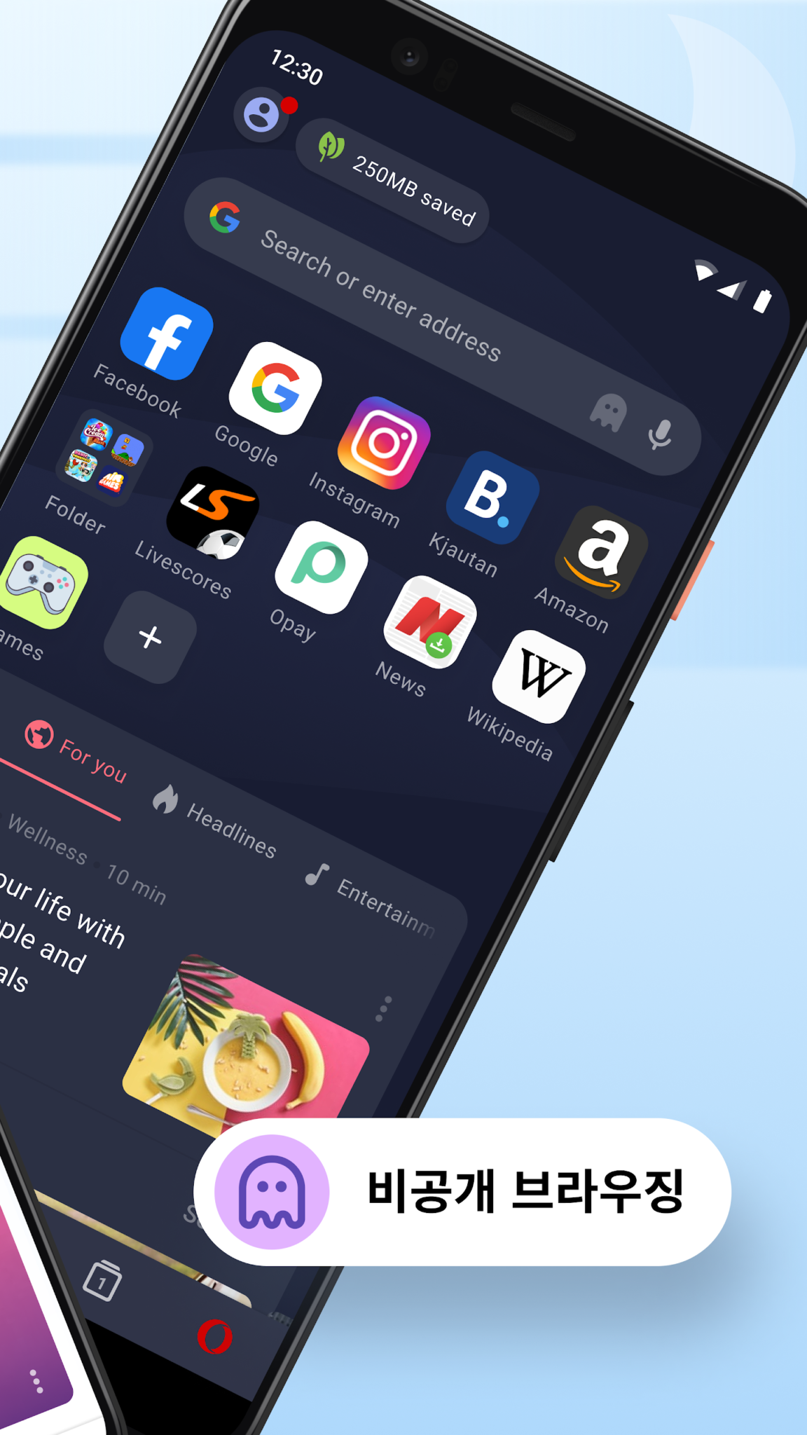 Opera Mini 웹 브라우저 스크린샷 3