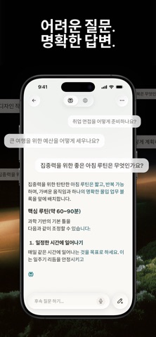 Perplexity 스크린샷 2
